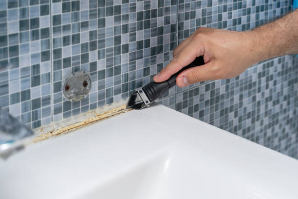 Best Mold Removal Company Near Me  in Upper Greenwood Lake, NJ