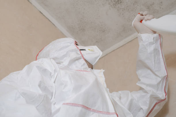 Best Crawl Space Mold Removal  in Upper Greenwood Lake, NJ